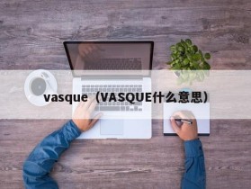 vasque（VASQUE什么意思）